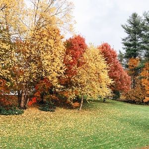 Meet your Posher, Alanna